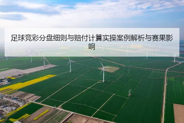 足球竞彩分盘细则与赔付计算实操案例解析与赛果影响